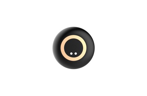 Wibrujący Stymulator Prostaty USB 10 Funkcji Z Pilotem Zdalnego Sterowania-B-Series