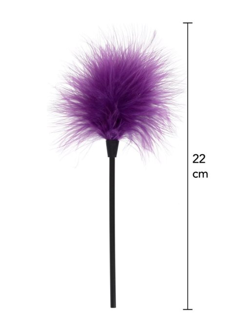 Piórko do łaskotania fioletowe Sexy Feather Tickler Purple SCALA