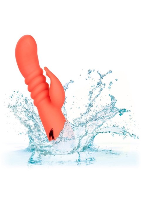 Króliczek Z Funkcją Pchania I Pamięcią Ustawień Pomarańczowy - ORANGE COUNTY CUTIE ORANGE CALIFORNIA DREAMING™