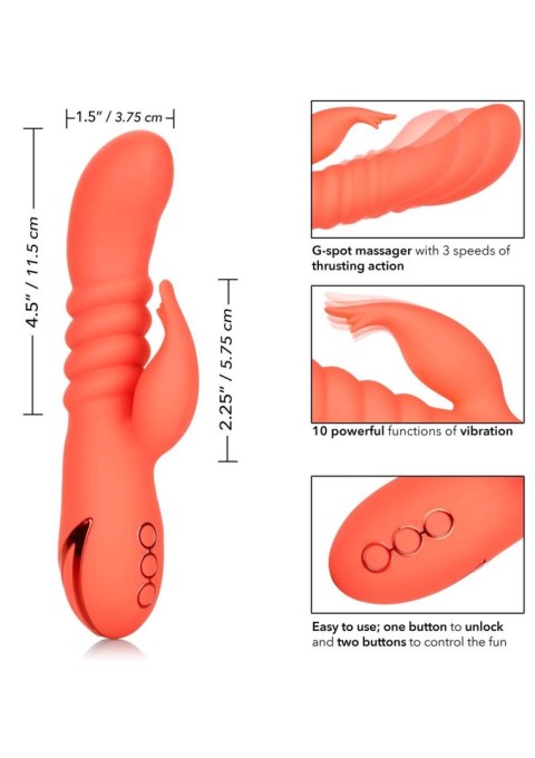 Króliczek Z Funkcją Pchania I Pamięcią Ustawień Pomarańczowy - ORANGE COUNTY CUTIE ORANGE CALIFORNIA DREAMING™