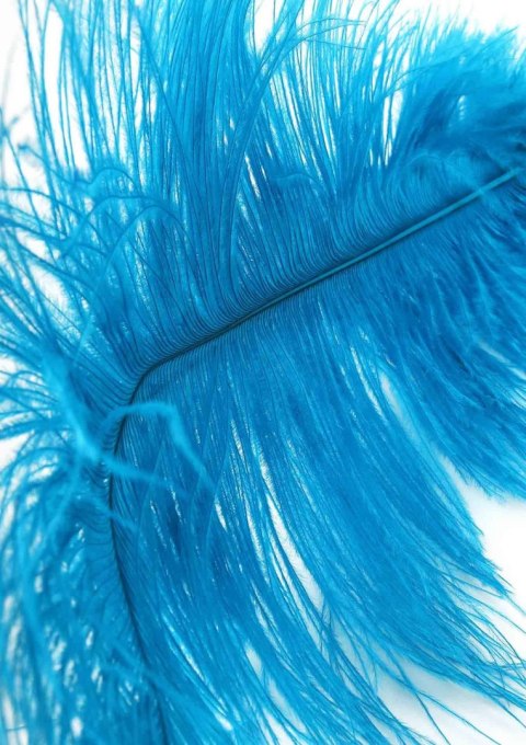 Piórko do łaskotania błękitne Double Feather Tickler Skyblue SCALA