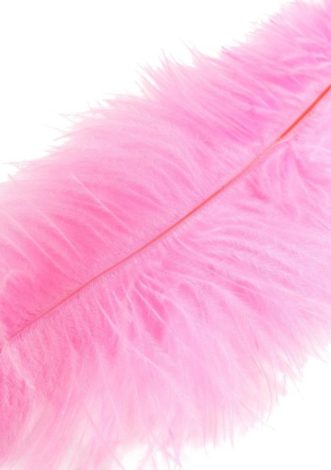 Piórko do łaskotania różowe Double Feather Tickler Pink SCALA