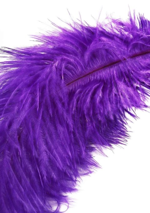 Piórko do łaskotania fioletowe Double Feather Tickler Purple SCALA