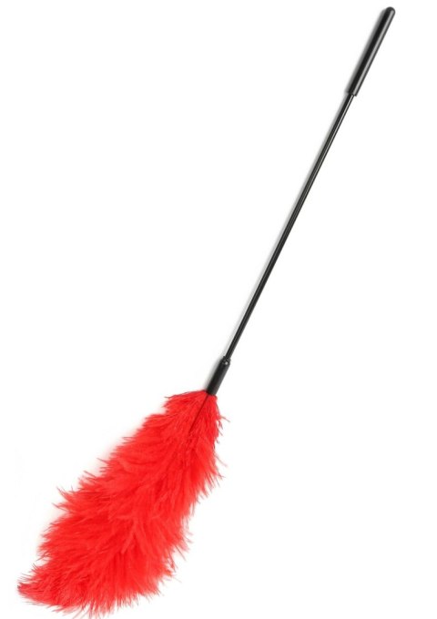 Piórko do łaskotania czerwone Double Feather Tickler Red SCALA