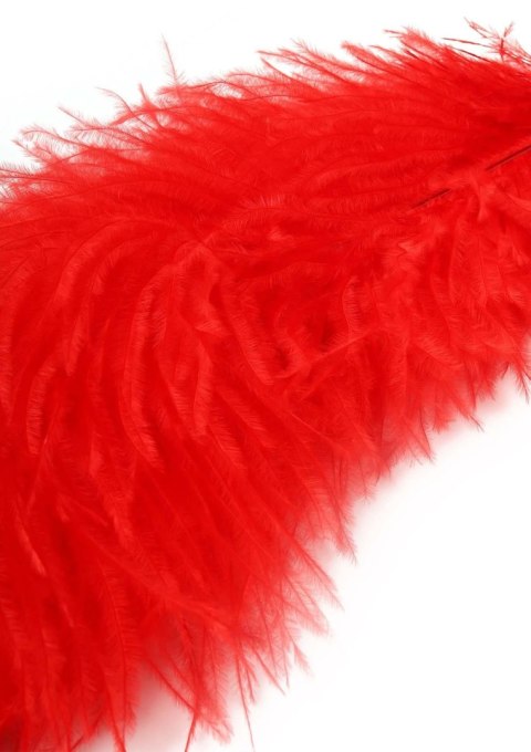 Piórko do łaskotania czerwone Double Feather Tickler Red SCALA