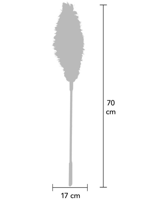 Piórko do łaskotania czerwone Double Feather Tickler Red SCALA