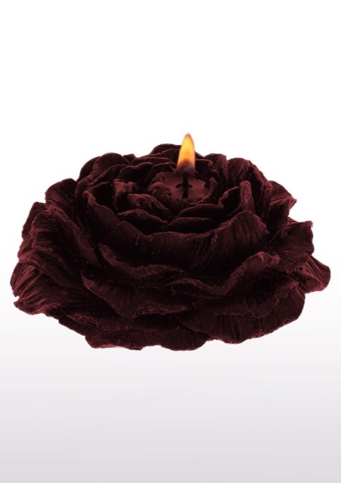 Świece niskotemperaturowe Rose Bondage Candles 2szt. Taboom