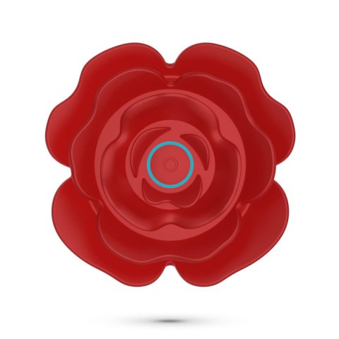 CRUSHIOUS ROSALINE ROTATING ANAL PLUG WITH REMOTE CONTROL