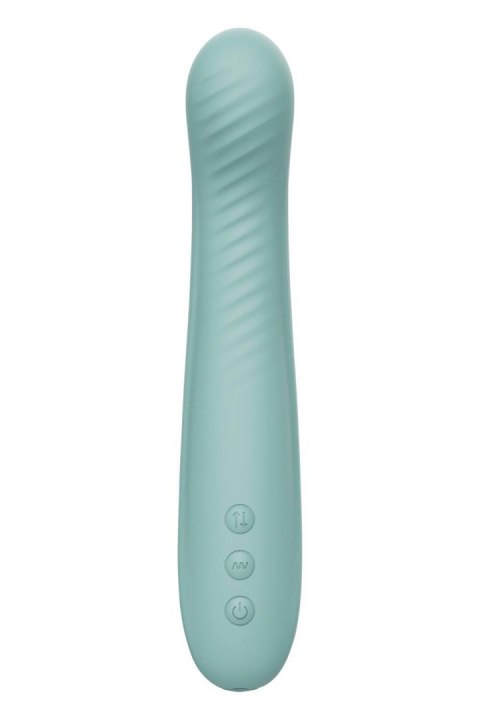 Wibrator Ruchomy Góra-Dół Do Punktu G Silikonowy USB-C - Pulz by Dreamtoys Taylor