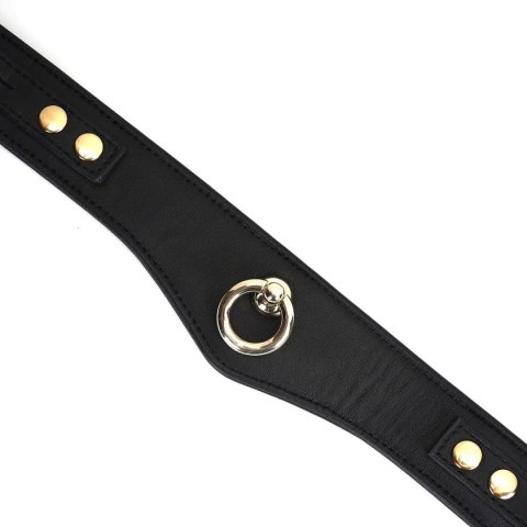 Obróżka Ze Smyczą Dark Secret Curved Collar Liebe Seele Liebe Seele