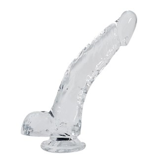 Dildo żelowe przeźroczyste 22cm Stallion Jelly Dildo CNEX