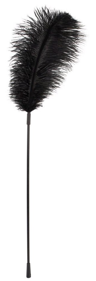 Piórko do łaskotania czarne Black feather Bad Kitty ORION