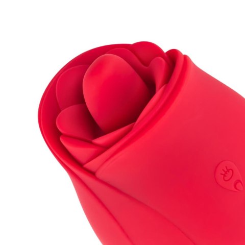 Stymulator Łechtaczki z Podwójną Stymulacją Rose Vibrator and Clitoris Stimulator Różowy - Teazers