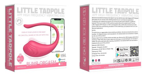 Jajeczko wibrujące fioletowe na aplikację App Love Egg