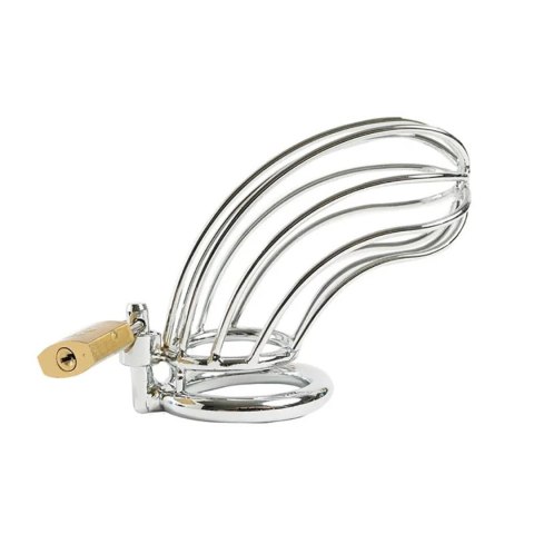 Pas cnoty na penisa ze stali nierdzewnej