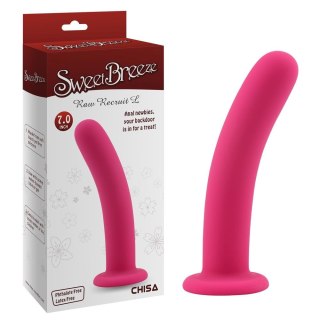 Dildo silikonowe różowe 17.8cm Raw Recruit L CHISA