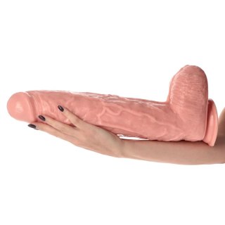 Dildo gigantyczne cieliste 43cm Extreme Augustus Flesh MSX Distribution S.r.l.