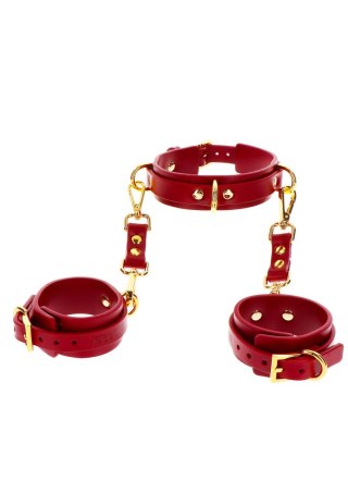 Kajdanki Na Ręce Z Obrożą D-Ring Collar And Wrist Cuffs Taboom Taboom