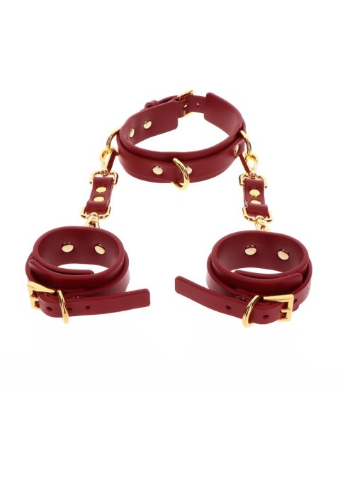 Kajdanki Na Ręce Z Obrożą D-Ring Collar And Wrist Cuffs Taboom Taboom