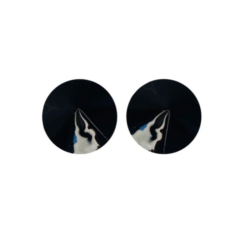 Nasutniki Czarne Nipple Covers Gloss Black Kinky Diva
