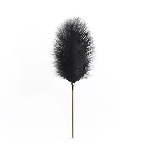 Piórko Do Łaskotania Ala Strusie czarne Feather Tickler UPKO
