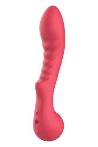 Wibrator Amour Flexible G-Spot Vibe Aimee Dreamtoys Dreamtoys