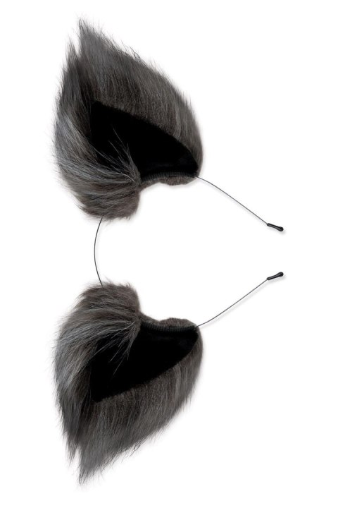 Zestaw Lis Korek Analny I Uszy Plug Grey Fox Tail Set Whipsmart Whipsmart