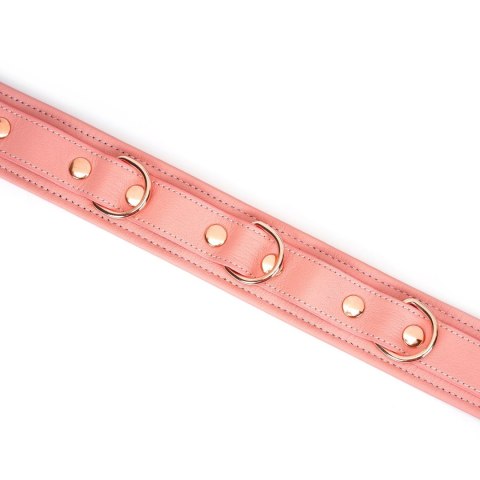 Obróżka Ze Smyczą Pink Dream Collar With Leash Liebe Seele Liebe Seele