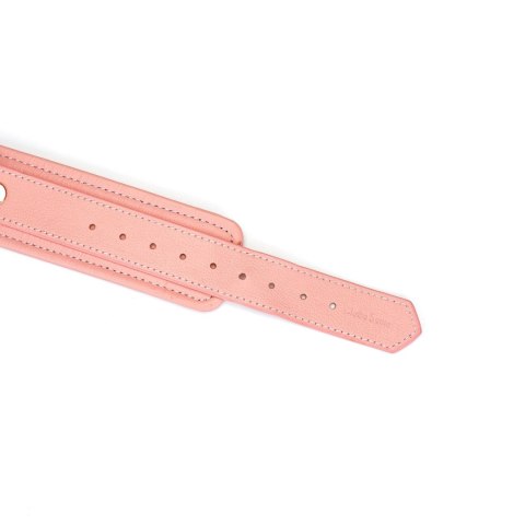 Obróżka Ze Smyczą Pink Dream Collar With Leash Liebe Seele Liebe Seele