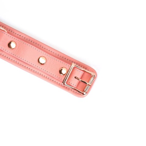 Obróżka Ze Smyczą Pink Dream Collar With Leash Liebe Seele Liebe Seele