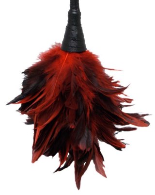 Piórko do łaskotania FFS Frisky Feather Duster ORION