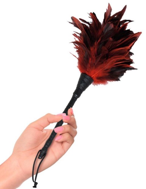 Piórko do łaskotania FFS Frisky Feather Duster ORION