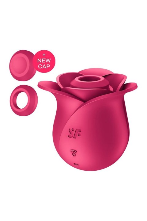 Pro 2 Modern Rose-Satisfyer