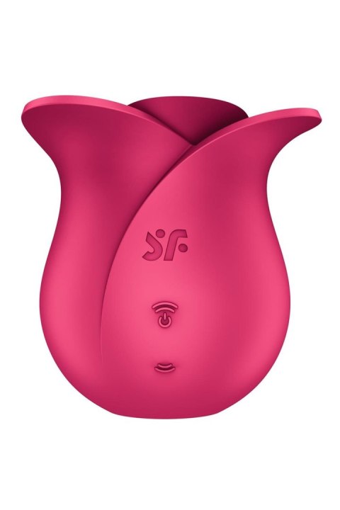 Pro 2 Modern Rose-Satisfyer