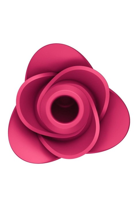 Pro 2 Modern Rose-Satisfyer