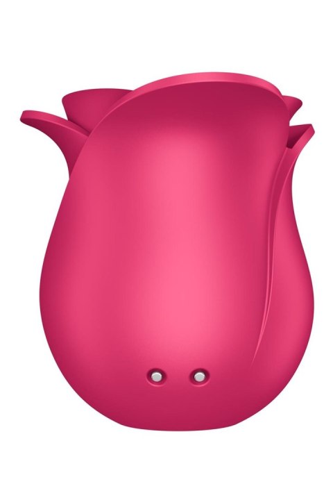 Pro 2 Modern Rose-Satisfyer