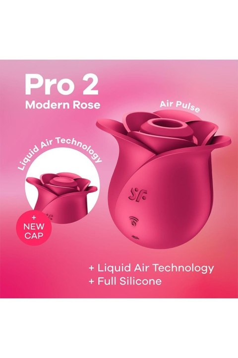 Pro 2 Modern Rose-Satisfyer