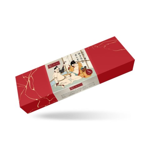 Pejcz Kinbaku Ukiyoe Red Rosy Leather Flogger Whip Liebe Seele Liebe Seele