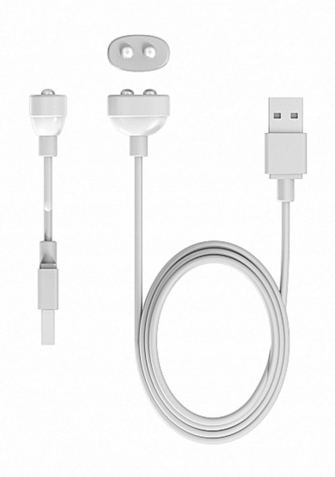 Stymulator Desirable Silikonowy Wodoodporny USB 10 Trybów Punkt G Magnetyczne Ładowanie 60 Minut Różowy Desirable