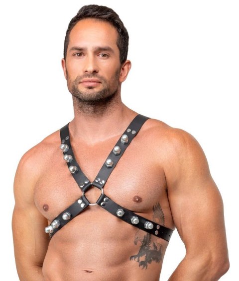 Leather Chest Harness