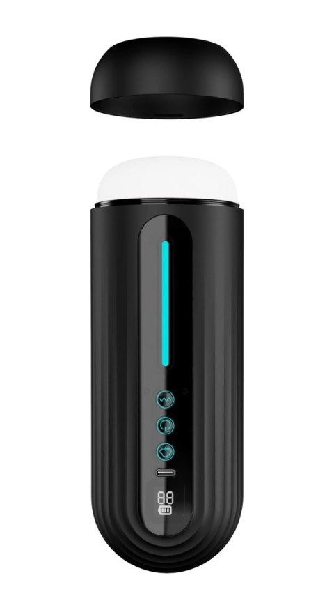 Podalirius Suction Masturbator