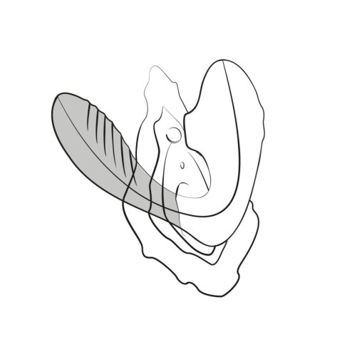 ROMP - Reverb Double Pleasure 2 in 1