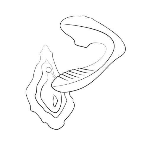 ROMP - Reverb Double Pleasure 2 in 1