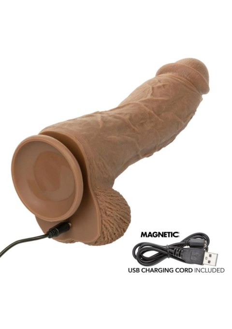 Big Dick Vibrating Energy Studs - Brown
