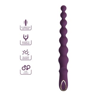 Pretty Love Rigdon Vibrating Anal Beads