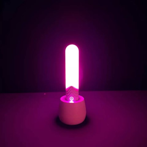 Wibrator z oświetleniem LED The Bullet White Paradise Illumination Paradise Pleasure