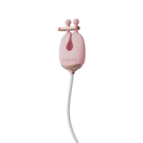 Zaciski No.2 Vibrating Nipple Clamps And Choker Set Pink Qingnan