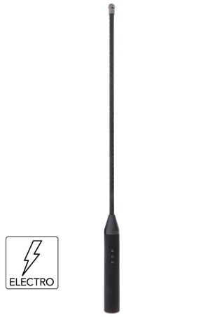 Extreme Electro Cane Hidden Desire