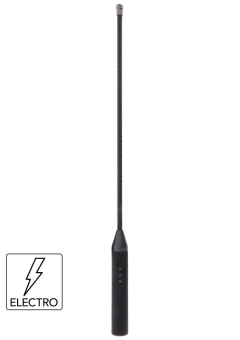 Extreme Electro Cane Hidden Desire