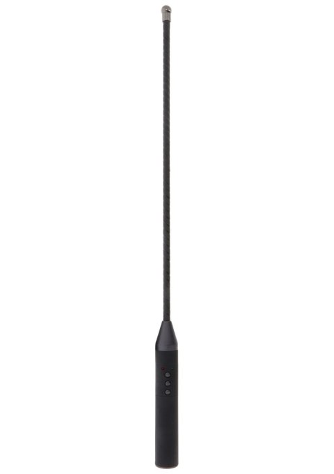 Extreme Electro Cane Hidden Desire